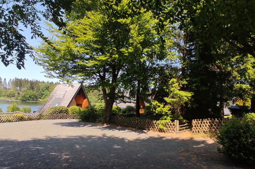 Photo 25 - Maison de 1 chambre à Clausthal-Zellerfeld avec jardin