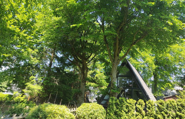 Casa de 2 quartos em Clausthal-Zellerfeld com jardim - Foto 23
