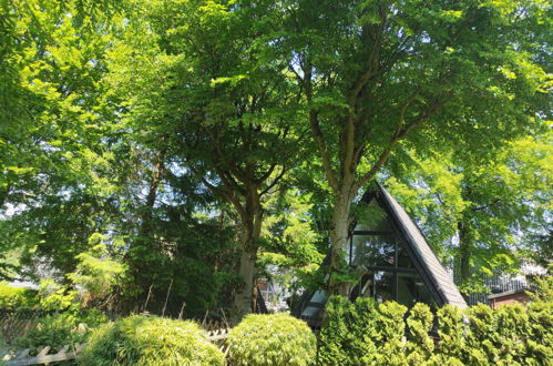 Photo 23 - Maison de 1 chambre à Clausthal-Zellerfeld avec jardin