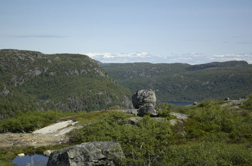 Foto 39 - Casa de 4 quartos em Åseral com terraço e sauna