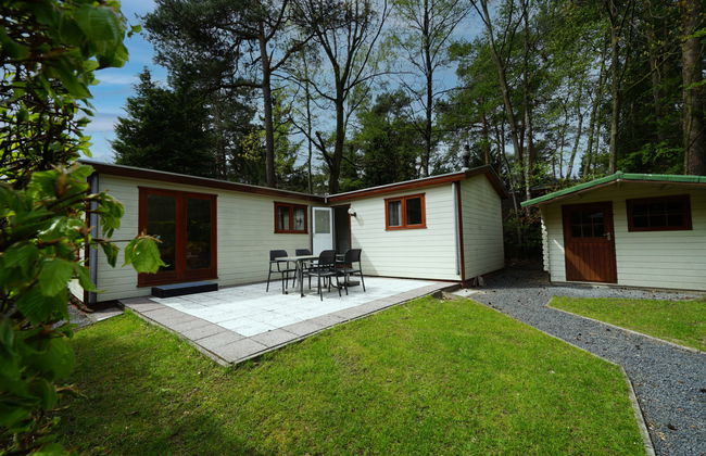 Casa de 3 quartos em Lochem com piscina e terraço - Foto 1
