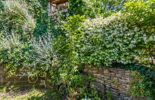 Casa de 5 quartos em Santa Luce com jardim e terraço - Foto 48