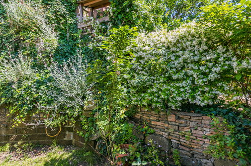 Foto 48 - Casa con 3 camere da letto a Santa Luce con giardino e terrazza