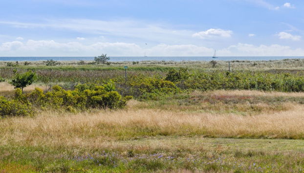 Casa con 4 camere da letto a Hals con terrazza - Foto 2