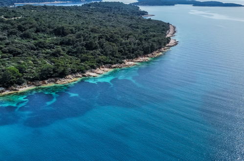 Foto 46 - Casa de 5 habitaciones en Mali Lošinj con jardín y vistas al mar