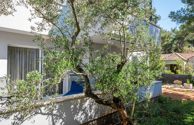 Haus mit 7 Schlafzimmern in Mali Lošinj mit garten und terrasse - Foto 39