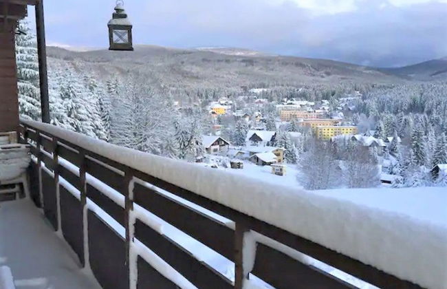Apartamento de 2 quartos em Harrachov com jardim e terraço - Foto 29