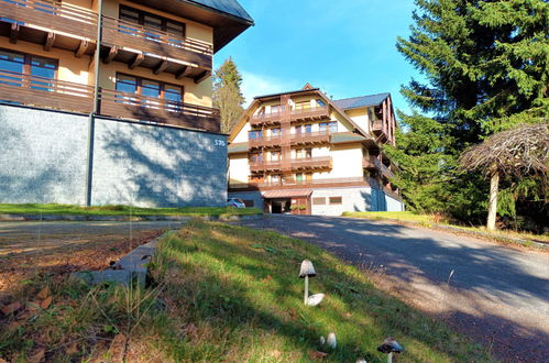 Photo 21 - 1 bedroom Apartment in Harrachov with terrace