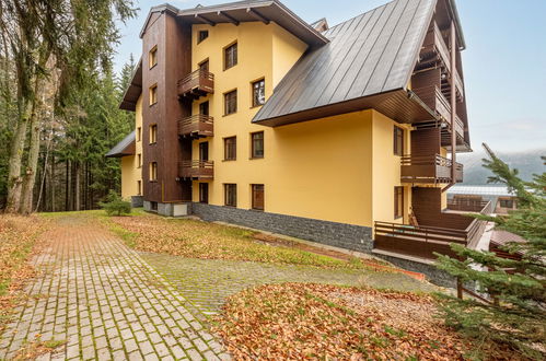 Photo 14 - 1 bedroom Apartment in Harrachov with garden and terrace