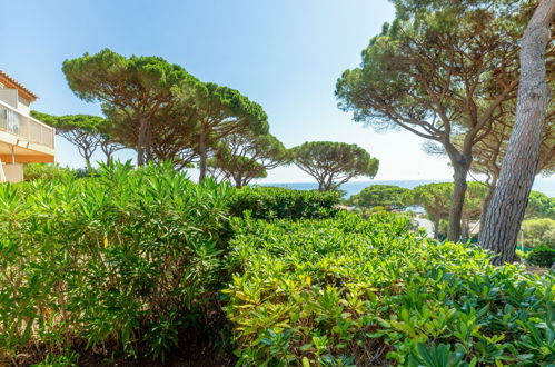 Photo 25 - Appartement de 1 chambre à Sainte-Maxime avec piscine et vues à la mer