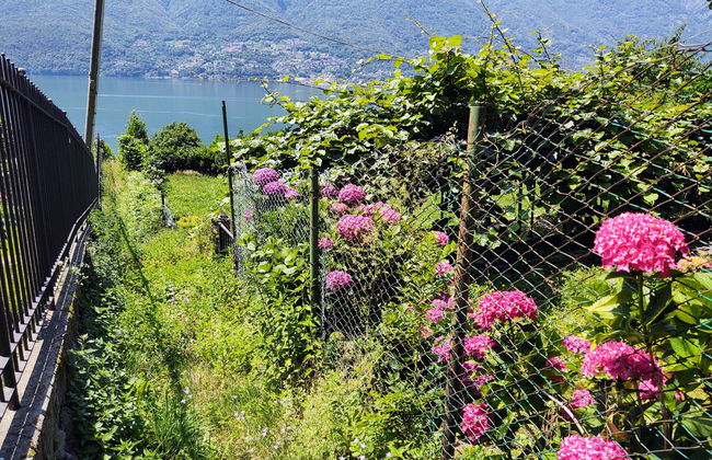 2 bedroom House in Dervio with garden - Photo 26