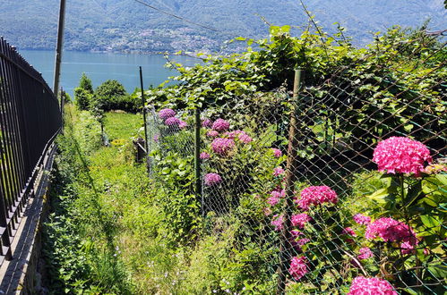 Photo 26 - Maison de 1 chambre à Dervio avec jardin et vues sur la montagne