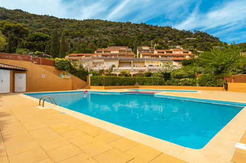 Photo 19 - 1 bedroom Apartment in Le Lavandou with swimming pool and garden