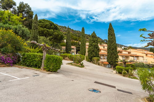 Photo 22 - 1 bedroom Apartment in Le Lavandou with swimming pool and garden