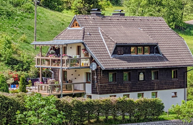 Apartamento de 2 quartos em Eisenbach (Hochschwarzwald) com jardim - Foto 26