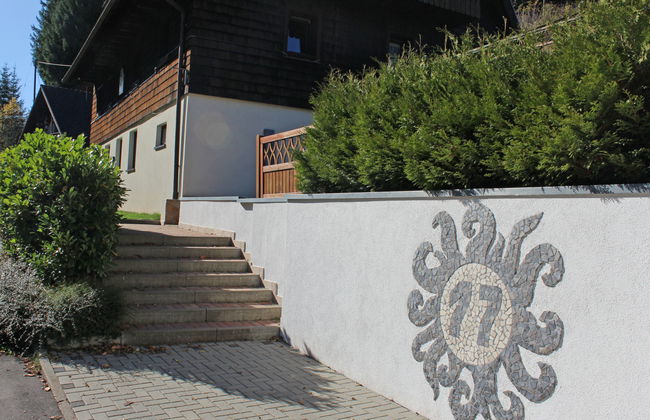 Apartamento de 2 quartos em Eisenbach (Hochschwarzwald) com jardim - Foto 10
