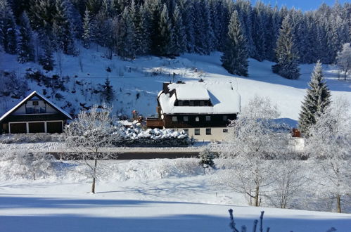 Foto 20 - Appartamento con 1 camera da letto a Eisenbach (Hochschwarzwald) con giardino e vista sulle montagne