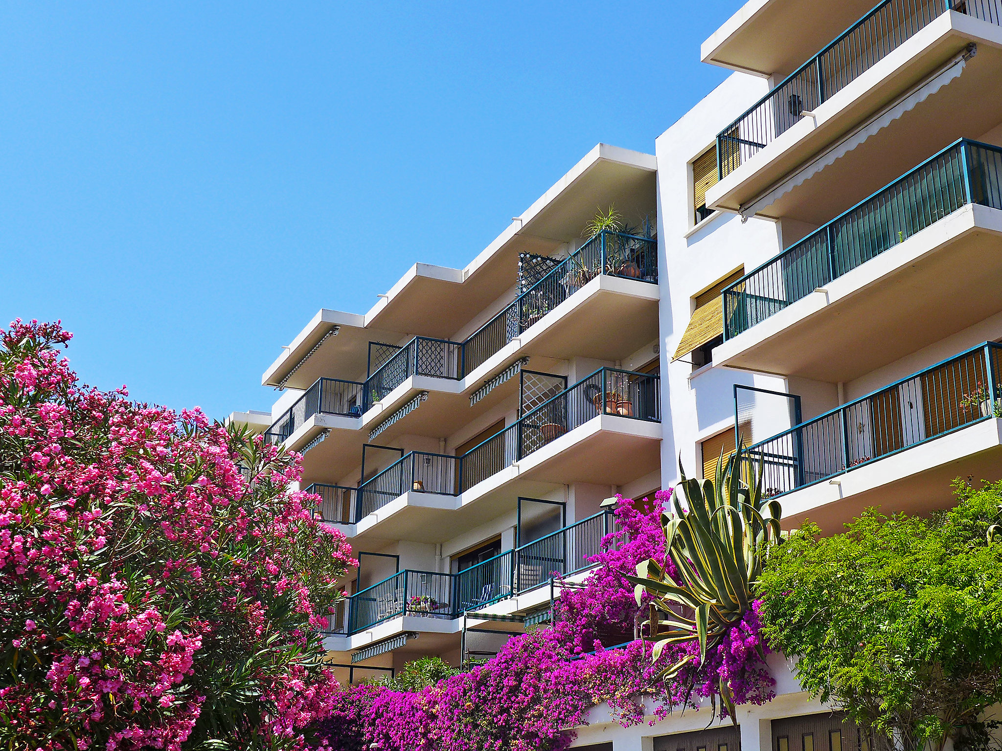 Foto 19 - Apartamento de 1 habitación en Cavalaire-sur-Mer con terraza