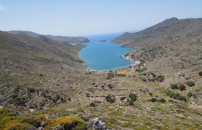 Dorana - Photo 3