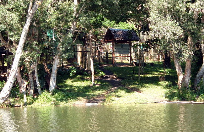 Parco Ivoloina e tour della città - Foto 4