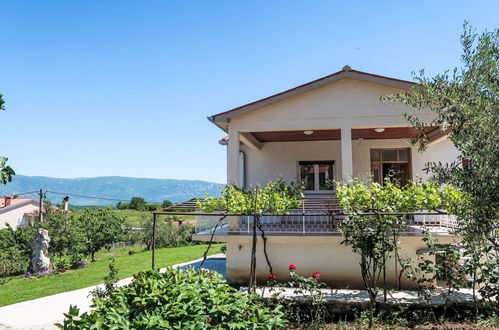 Foto 19 - Casa con 2 camere da letto a Pićan con piscina privata e giardino