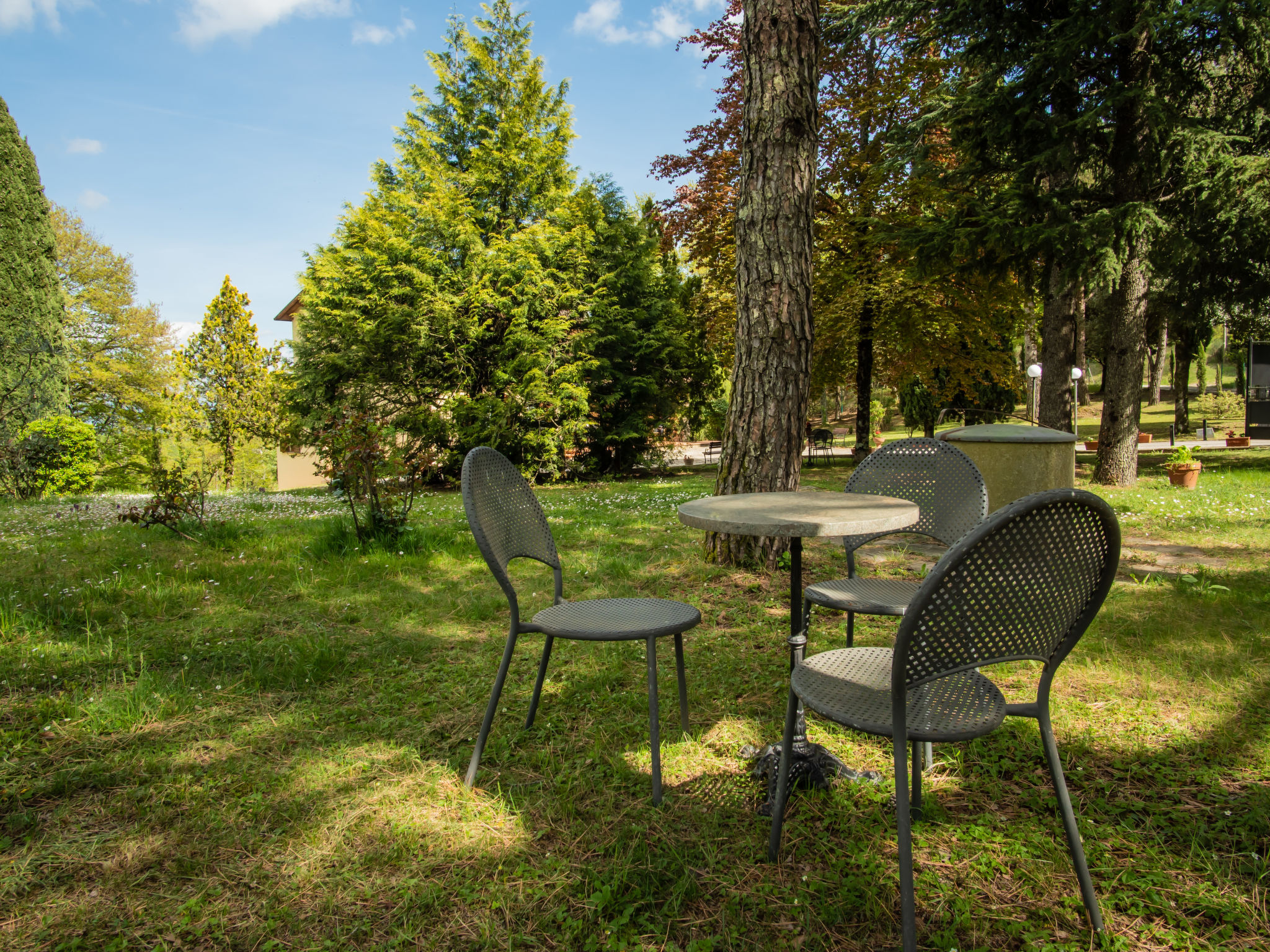 Photo 4 - 4 bedroom House in Anghiari with private pool and garden