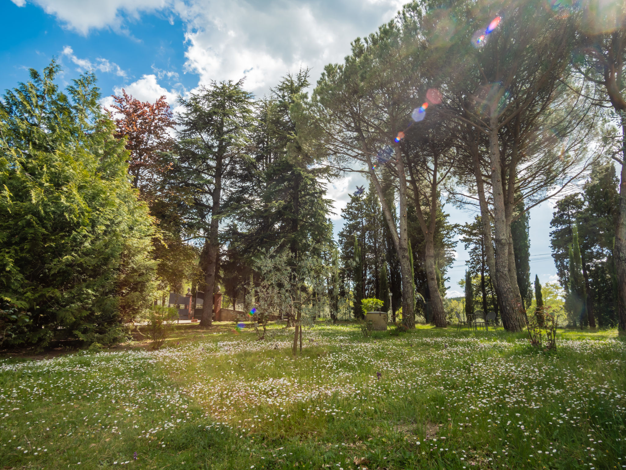 Photo 42 - Maison de 4 chambres à Anghiari avec piscine privée et jardin