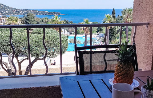 Apartamento de 1 quarto em Saint-Raphaël com piscina e jardim - Foto 6