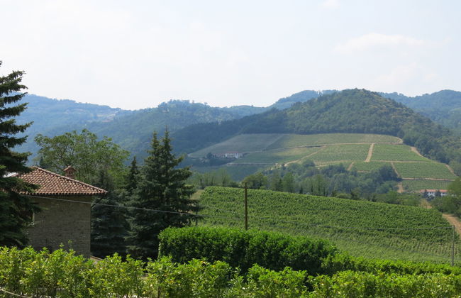 Haus mit 5 Schlafzimmern in Vesime mit privater pool und garten - Foto 35