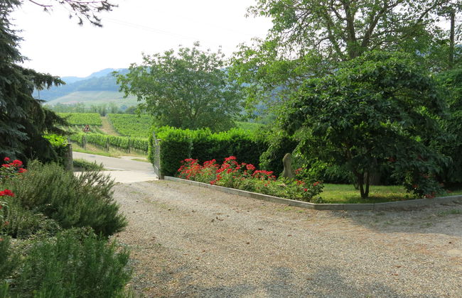 Haus mit 5 Schlafzimmern in Vesime mit privater pool und garten - Foto 34