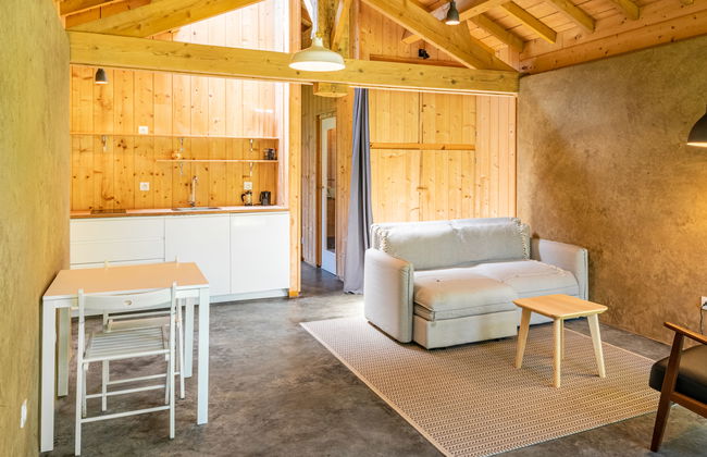 Casa de 6 quartos em Saint-Julien-en-Born com piscina privada e jardim - Foto 10