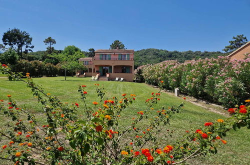 Photo 1 - Maison de 4 chambres à Poggio-Mezzana avec jardin et terrasse