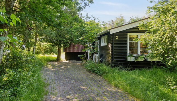 Casa de 4 quartos em Glesborg com terraço - Foto 4