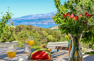 Foto 3 - Casa de 1 quarto em Pučišća com piscina privada e terraço