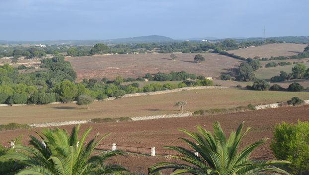 Son Triay - Foto 2