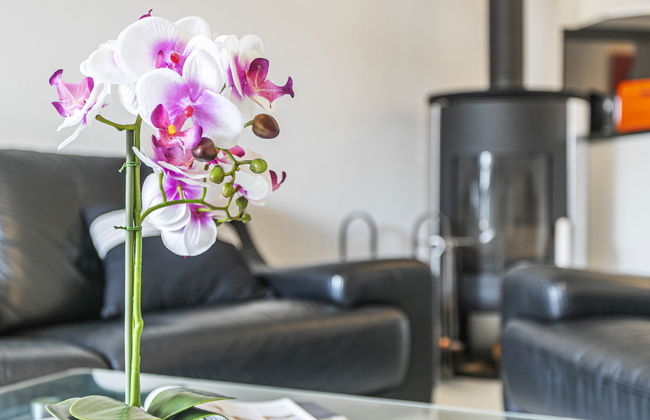 Apartamento de 4 quartos em Port-Valais com jardim e terraço - Foto 20