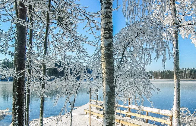 Haus mit 3 Schlafzimmern in Mikkeli mit sauna - Foto 30
