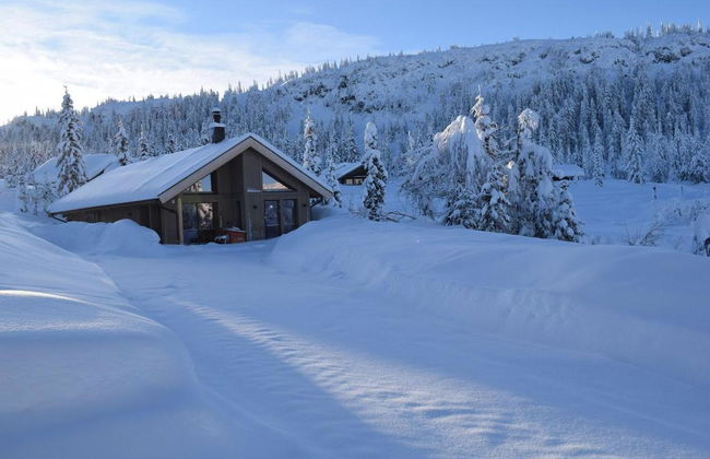 Skeikampen Booking - Foto 45