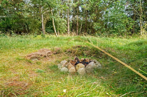 Foto 4 - Casa con 3 camere da letto a Sæby con terrazza