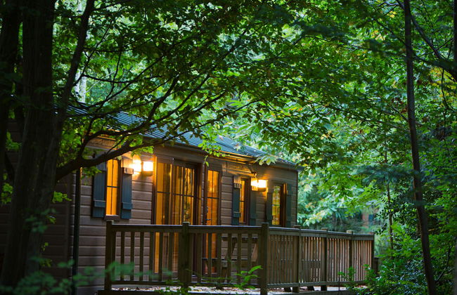 Disney Davy Crockett Ranch + Entrada - Foto 55