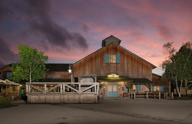 Disney Davy Crockett Ranch + Entrada - Foto 16