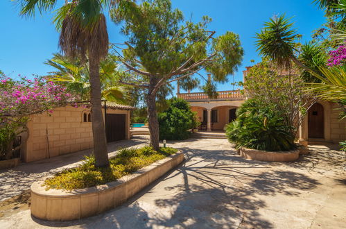 Foto 35 - Casa con 5 camere da letto a Manacor con piscina privata e giardino