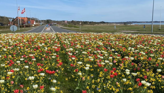 Haus mit 3 Schlafzimmern in Ebeltoft mit privater pool und terrasse - Foto 4