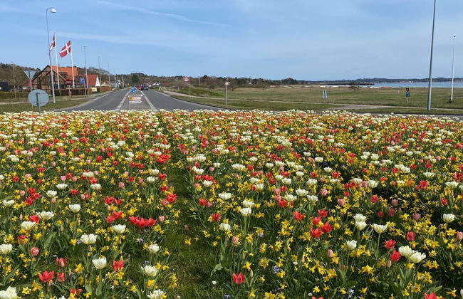 Haus mit 3 Schlafzimmern in Ebeltoft mit privater pool und terrasse - Foto 4