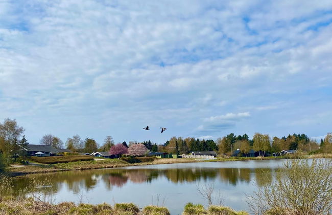 Haus mit 3 Schlafzimmern in Ebeltoft mit privater pool und terrasse - Foto 8