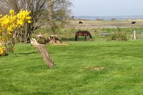 Foto 19 - Casa con 2 camere da letto a Præstø con terrazza