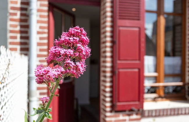 Casa de 3 quartos em Trouville-sur-Mer com terraço - Foto 16