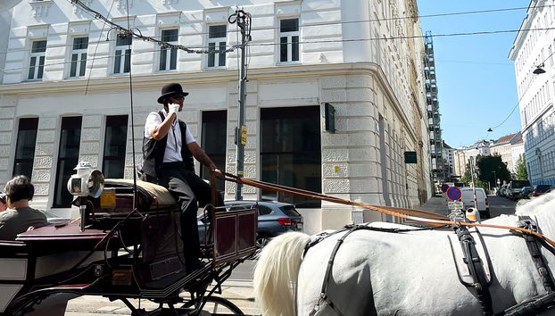 Jimmy's Apartments Emerald - Foto 3