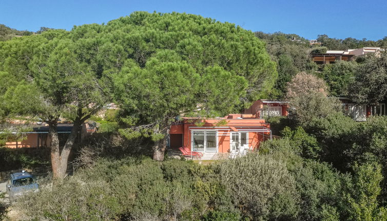 Foto 1 - Haus mit 4 Schlafzimmern in Castiglione della Pescaia mit garten und blick aufs meer