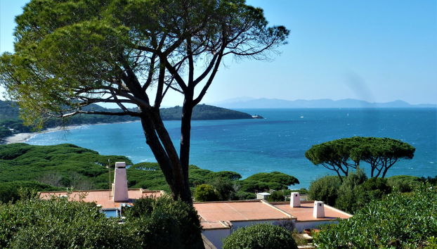 Haus mit 5 Schlafzimmern in Castiglione della Pescaia mit garten und terrasse - Foto 5